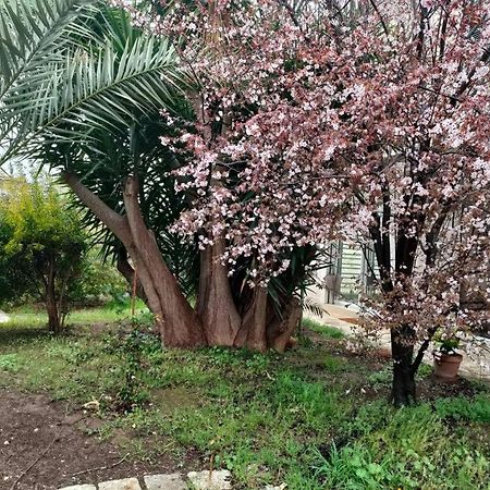 Giardino A Mare Lejlighed Bari Eksteriør billede
