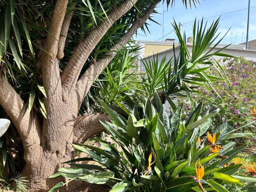 Giardino A Mare Lejlighed Bari Eksteriør billede