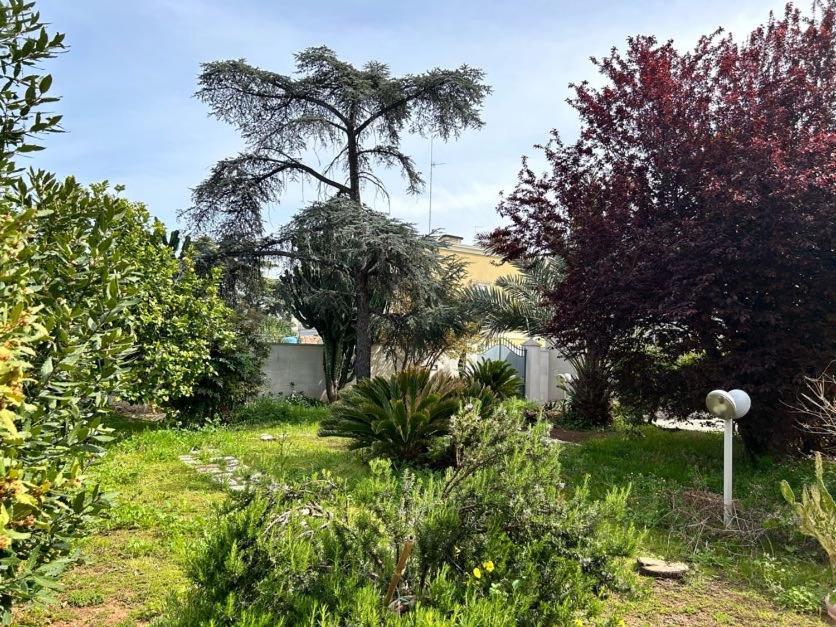 Giardino A Mare Lejlighed Bari Eksteriør billede